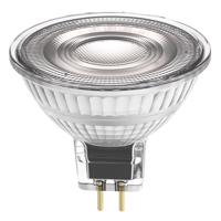 LED žárovka LED MR16 GU5.3 2.6W = 20W 210lm 3000K Teplá Bílá 12V FILAMENT LEDVANCE