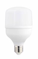 Optonica LED Žárovka E27 T80 24W