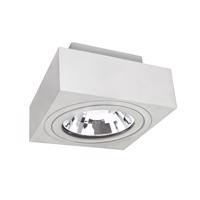 SPECTRUMLED MIRORA AR111 SURFACE GU10 250V IP20 145X145X85MM Bílá SQUARE ADJUSTABLE SPOT SLIP005047