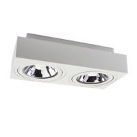 SPECTRUMLED MIRORA AR111 X2 SURFACE GU10 250V IP20 293X145X85MM Bílá RECTANGLE ADJUSTABLE SPOT SLIP005049